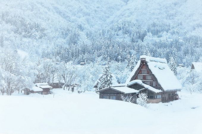 Кракен шоп даркнет